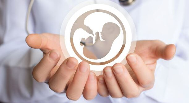 hodnocení kvality embrya