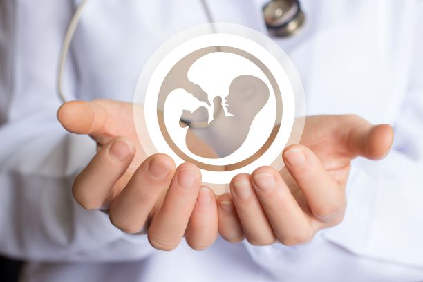 hodnocení kvality embrya